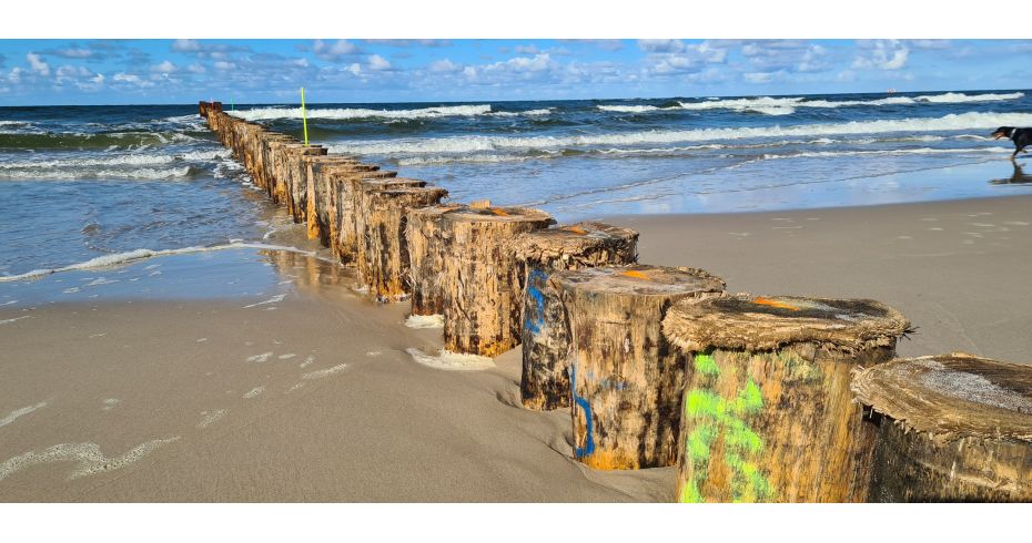 Pale w falochronach z drewna sosnowego 